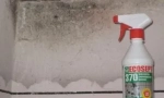 Jak odstranit vůni plísní a vlhkosti